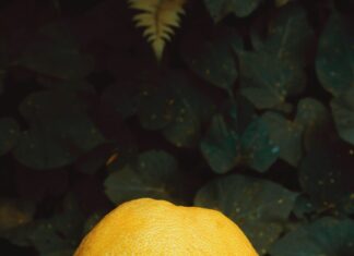 Pomelo: Obr mezi citrusy, který pomáhá regulovat krevní tlak